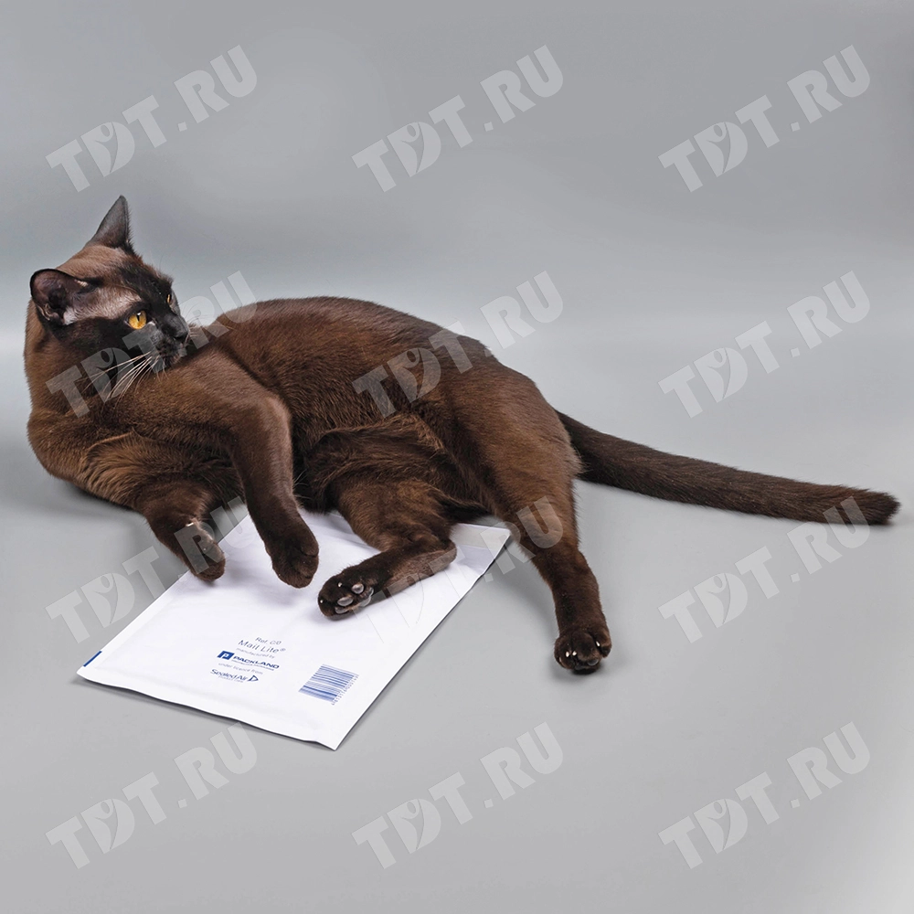 Белый крафт пакет с прослойкой, 17*22 см, C-13 (С/0)