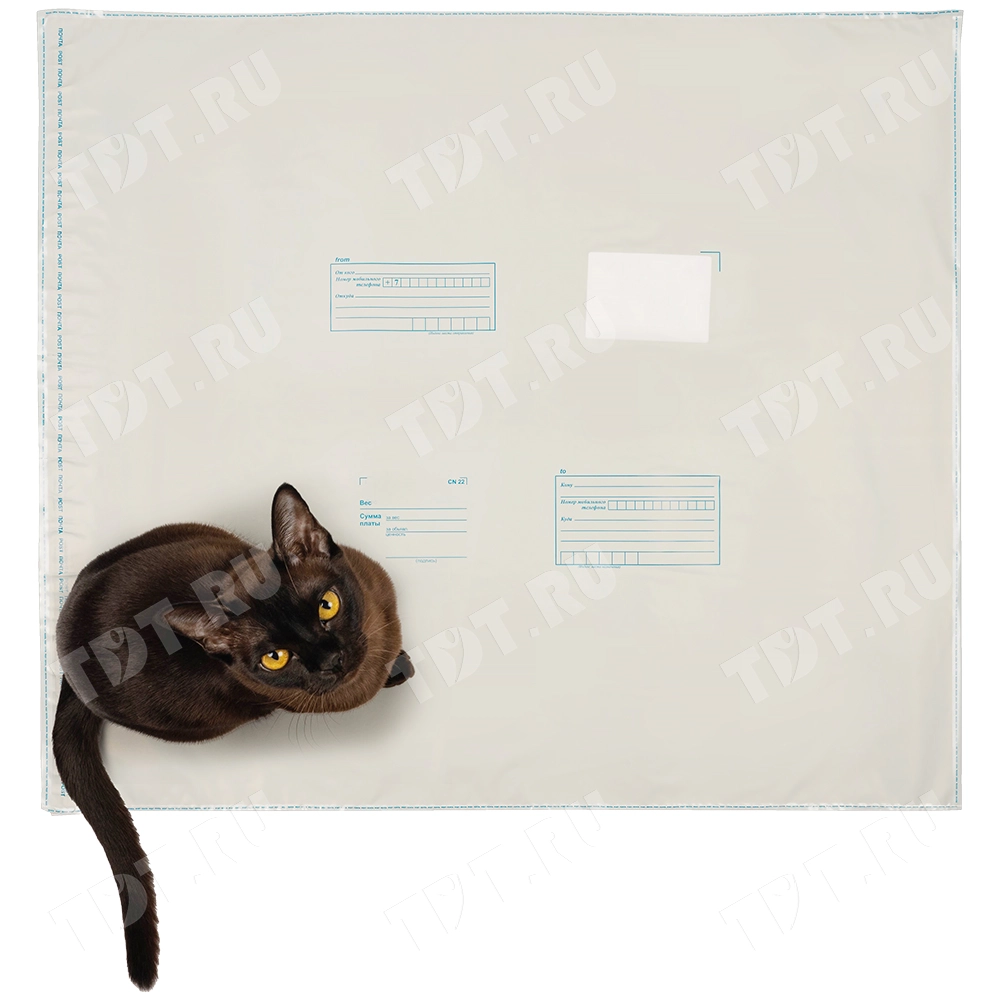 Пакет для Почты России, 600*695 мм