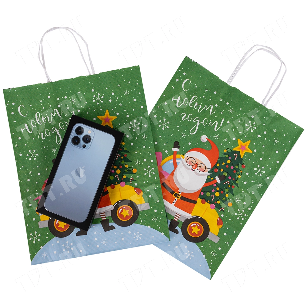 Подарочный пакет с крученой ручкой «Дед Мороз и ёлка», 80 г/м², 25*11*32 см