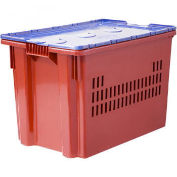 Пластиковый ящик с синей крышкой и перфорацией, красный, 600*400*400 мм