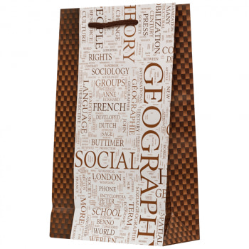 Бумажный подарочный пакет «Social geography», 16.5*7*26.5 см