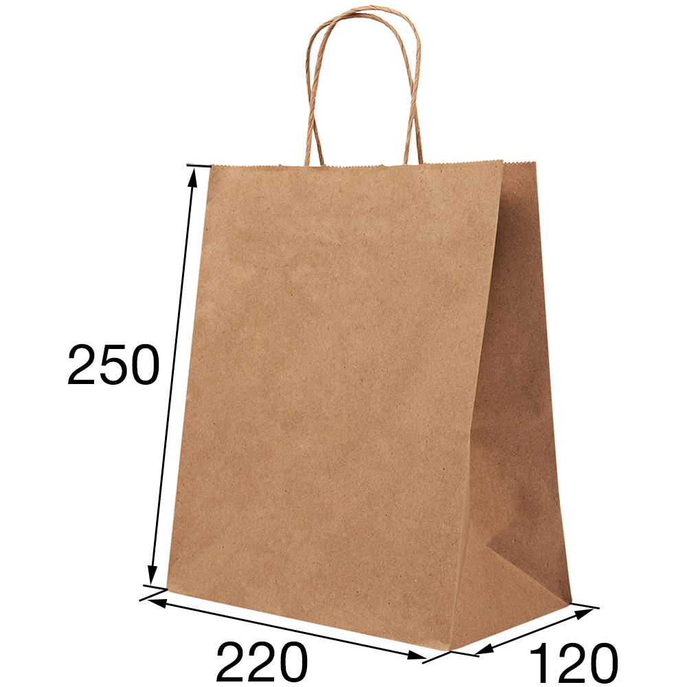 Крафт пакет с крученой ручкой, 70 г/м², 22*12*25 см Крафт пакет с крученой ручкой, 70 г/м², 22*12*25 см