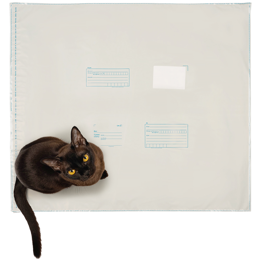 Пакет для Почты России, 600*695 мм Пакет для Почты России, 600*695 мм