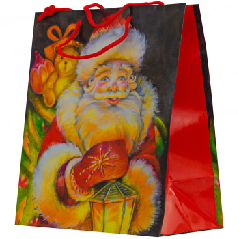Бумажный подарочный пакет «Дед Мороз», 20*11.5*24 см