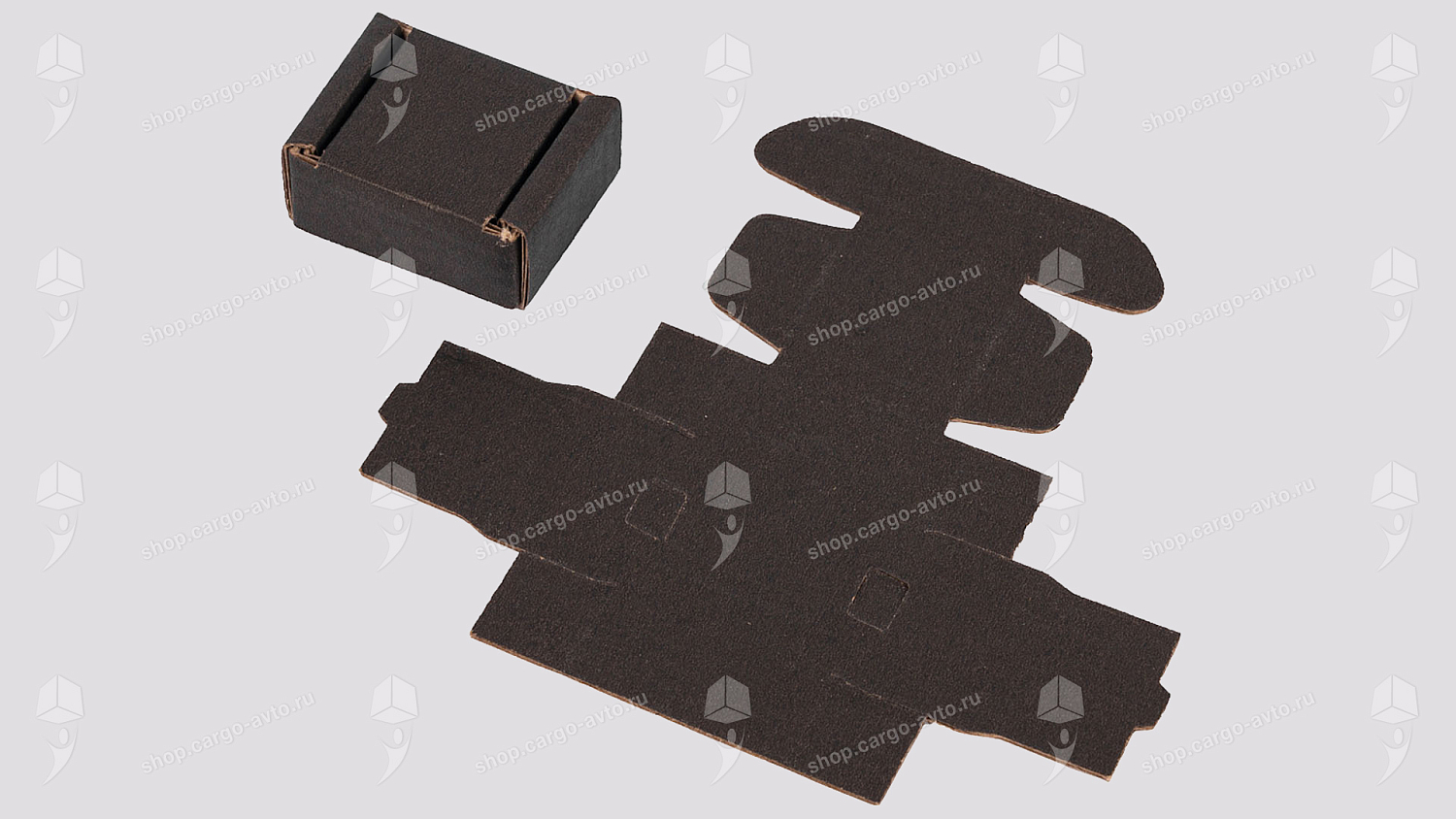 «Нанокоробки для нанотехнологий»