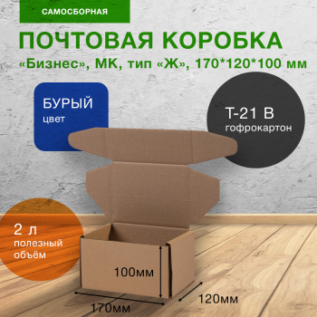 Почтовый короб «Бизнес», МК, тип «Ж», 170*120*100 мм, T-21 В