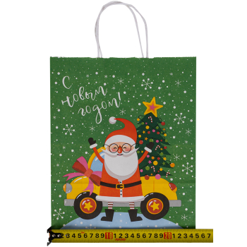 Подарочный пакет с крученой ручкой «Дед Мороз и ёлка», 80 г/м², 25*11*32 см