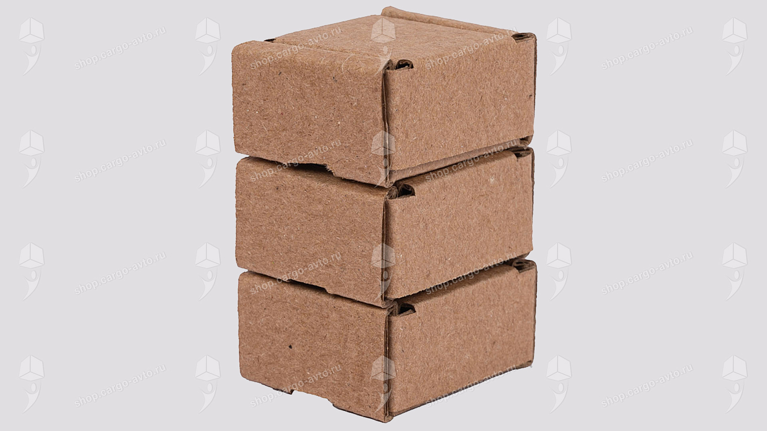 «Нанокоробки для нанотехнологий»