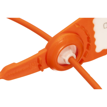 Пластиковая пломба Авангард 220, 305*2 мм