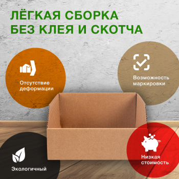 Витринный лоток №5, 297*194*99 мм, Т-23 В