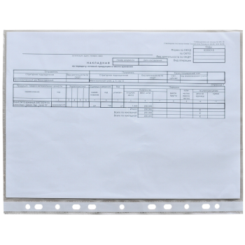 Перфорированные папки-файлы BRAUBERG «Гладкое яблоко», А4, 100 шт./уп.