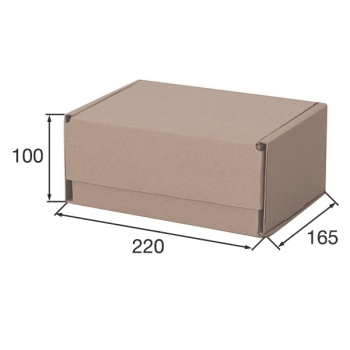 Почтовый короб «Бизнес», МК, тип «Д», 220*165*100 мм, T-21 В