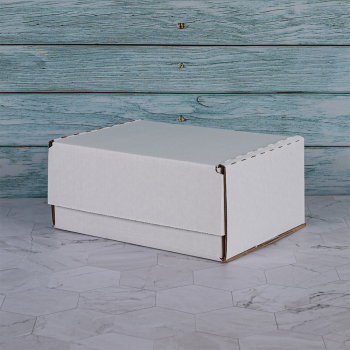 Почтовый короб тип «Д», беленый, 220*165*100 мм, Т-23 В